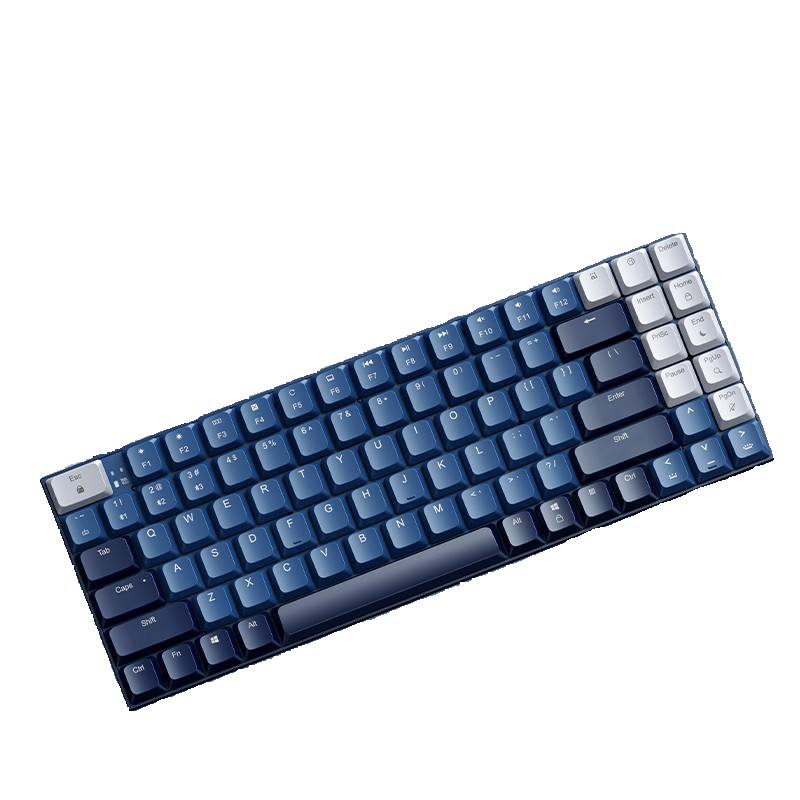 Wireless Mechanical Keyboard with Blue and White Keycaps